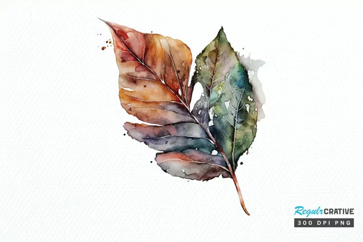 Watercolor Leave PNG Clipart