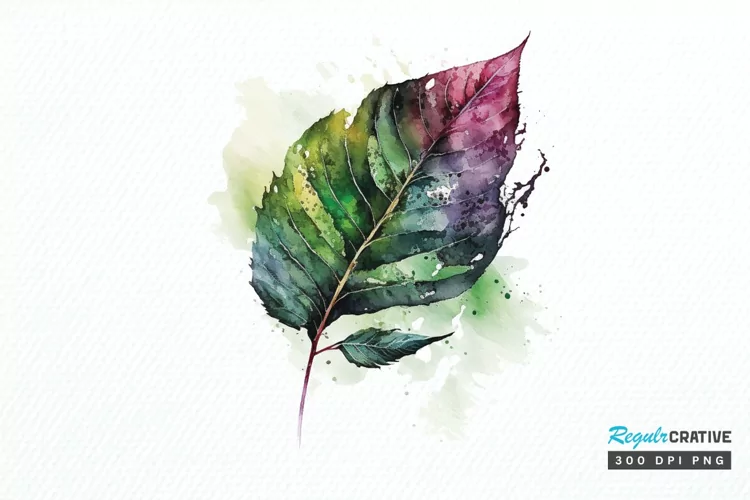 Watercolor Leave PNG Clipart