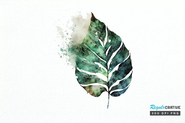 Watercolor Leave PNG Clipart