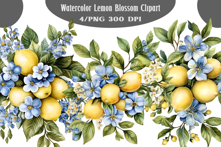 Watercolor Lemon Blossom Clipart