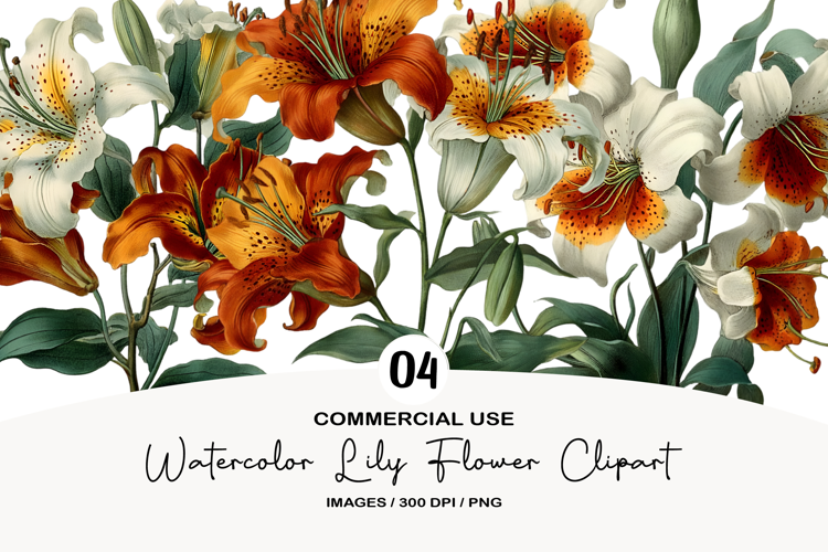 Watercolor Lily Flower Clipart