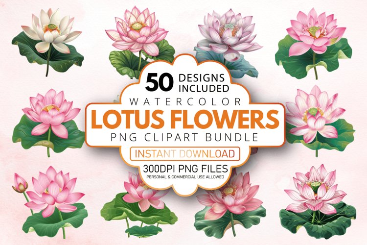 Lotus Flower Illustration Image 14
