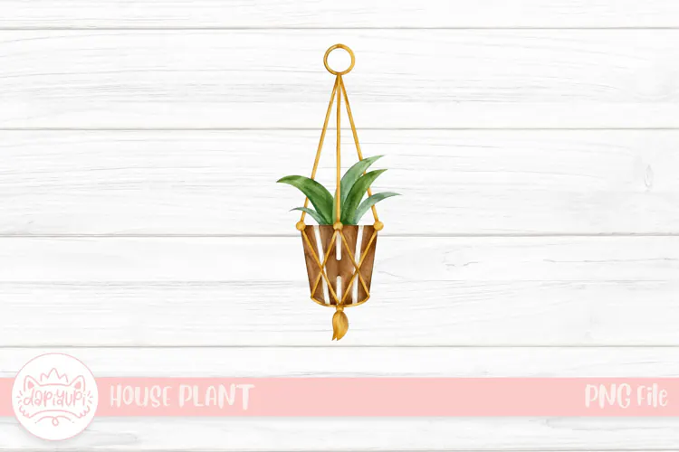 Watercolor Macramé Hanging Plant