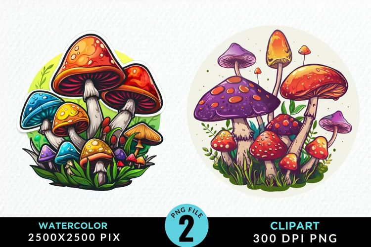Watercolor Magic Mushrooms Graphics Clipart