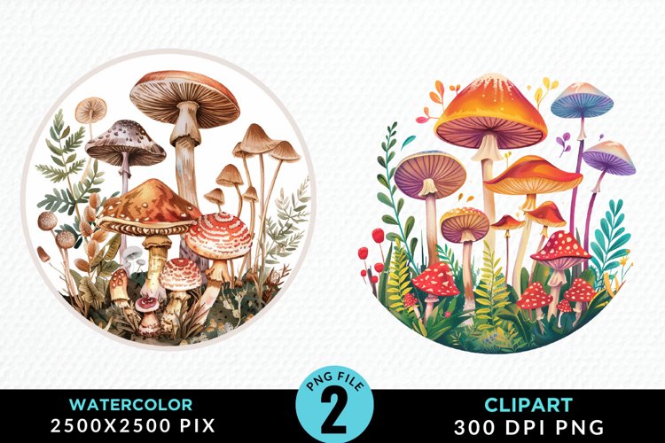 Mushrooms Png Image 16