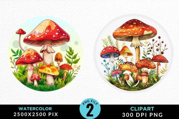 Mushrooms Png Image 19