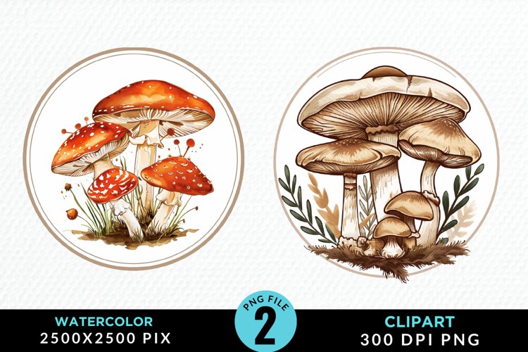Mushrooms Png Image 20