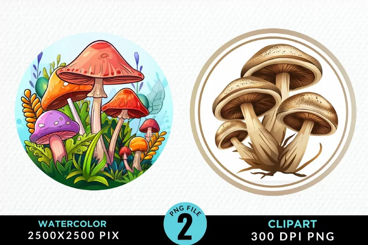 Watercolor Magic Mushrooms Graphics Clipart