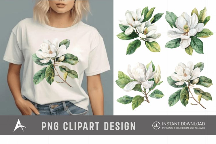 Magnolia Illustration Image 23