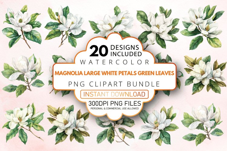 Magnolia Illustration Image 15