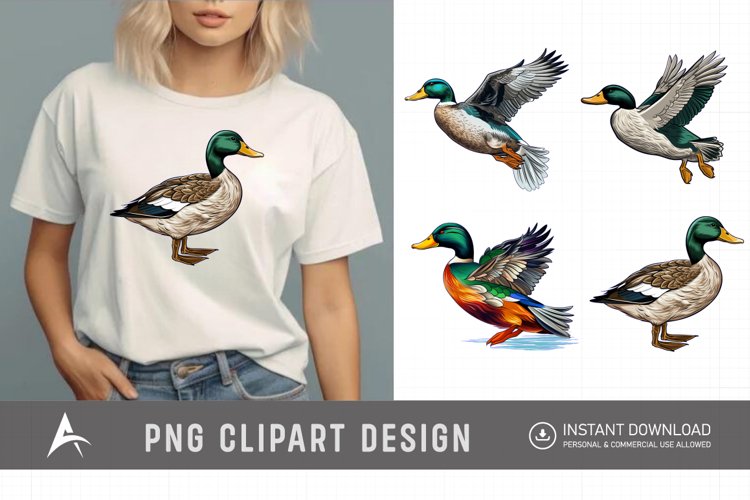 Duck Illustration Image 14