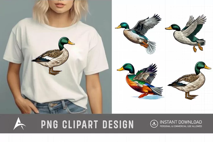 Watercolor Mallard Duck Clipart