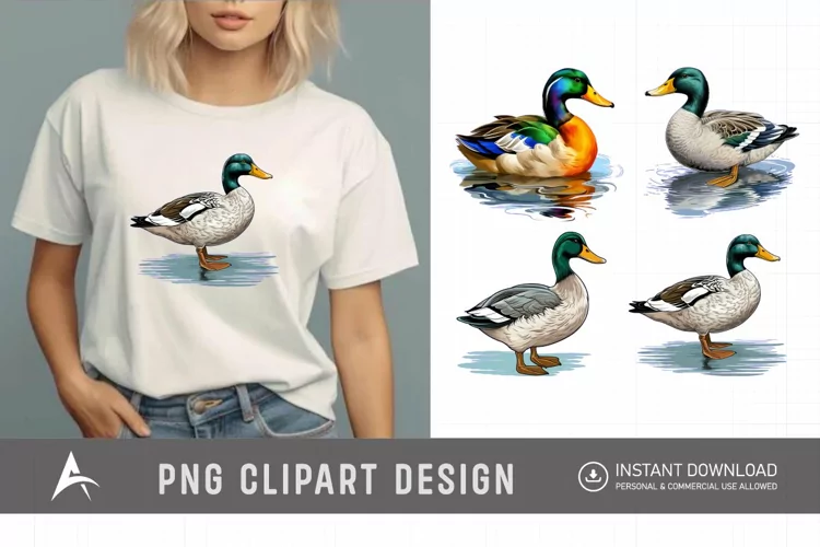 Watercolor Mallard Duck Clipart