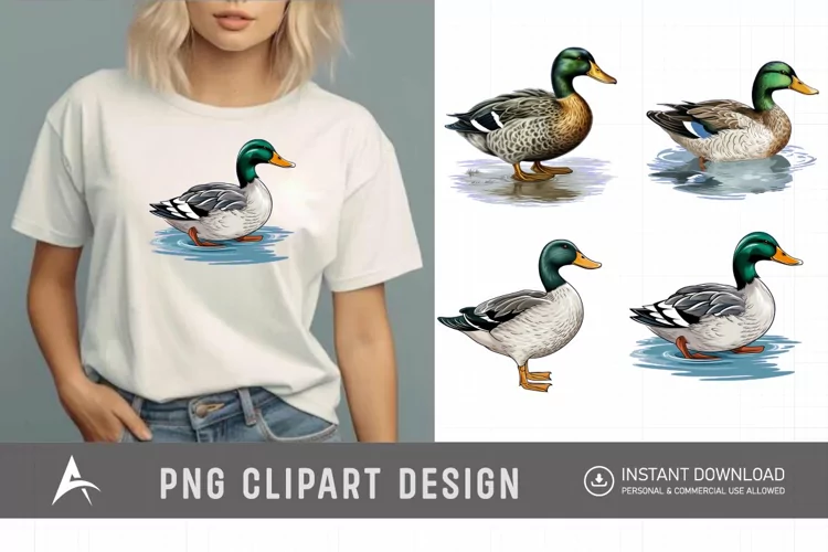 Watercolor Mallard Duck Clipart