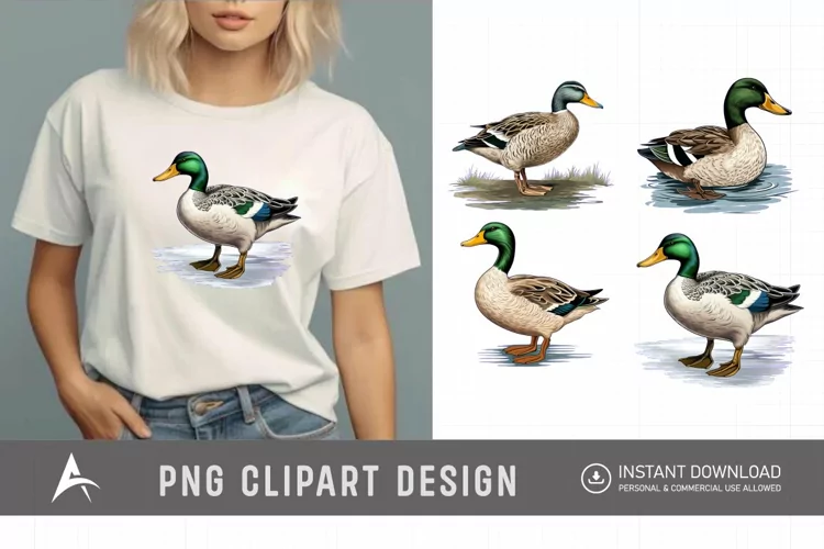 Watercolor Mallard Duck Clipart