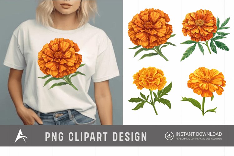 Marigold Clipart Image 19