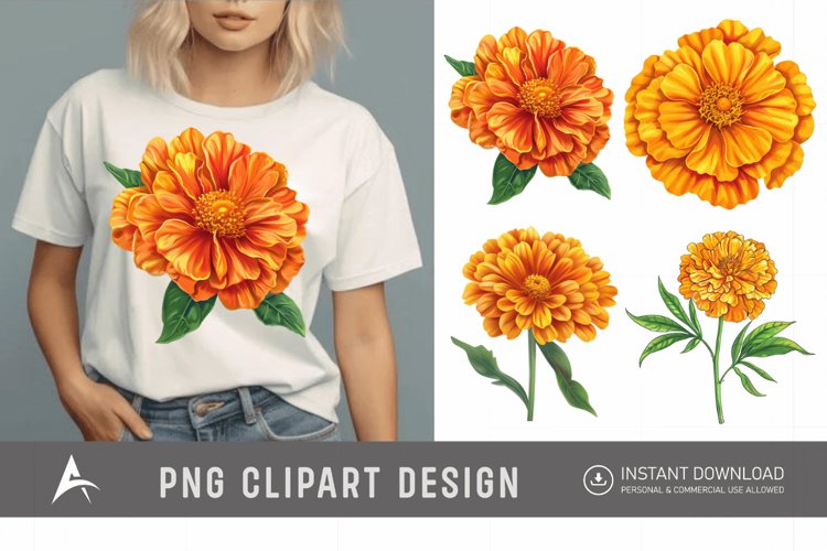 Marigold Clipart Image 10