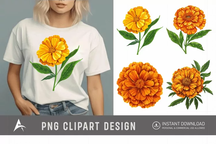 Watercolor Marigold Flower Clipart