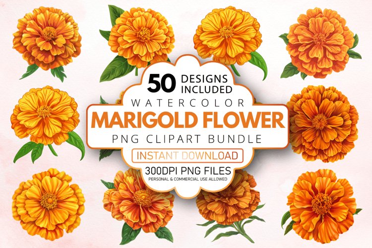 Marigold Clipart Image 18