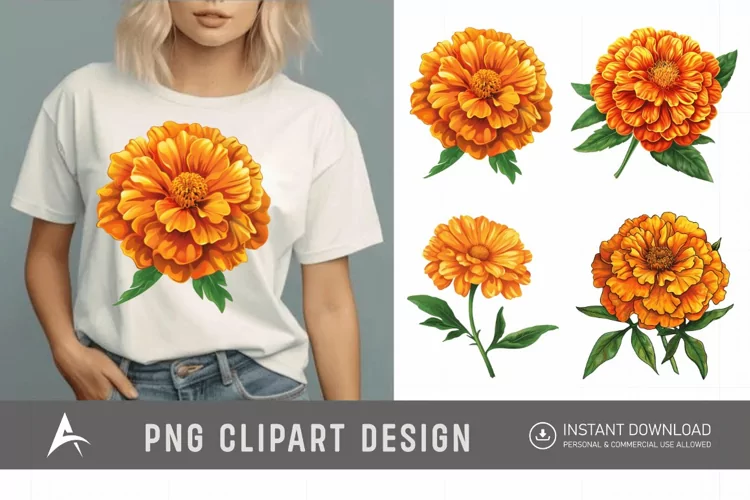 Watercolor Marigold Flower Clipart