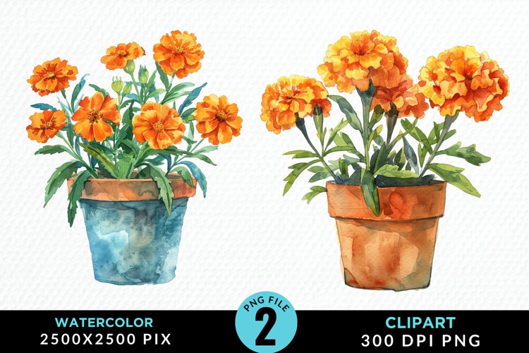 Marigolds Clipart Image 3