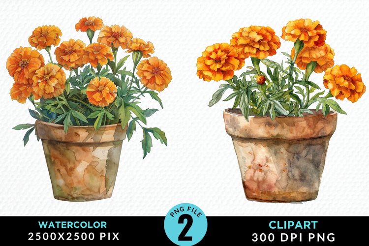 Watercolor Marigolds Pot Set Clipart