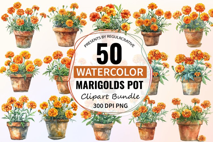 Marigold Clipart Image 23