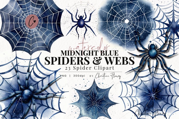Spider Clipart Image 12