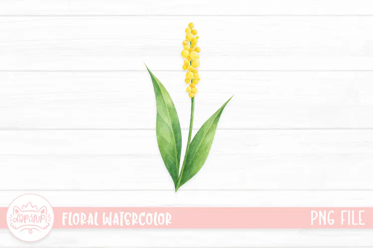 Botanical Watercolor Illustration, Floral Watercolor Design