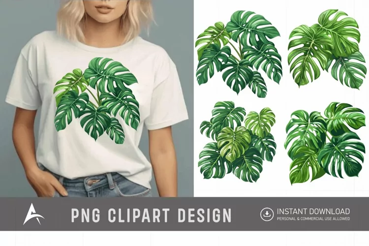 Watercolor Monstera Clipart