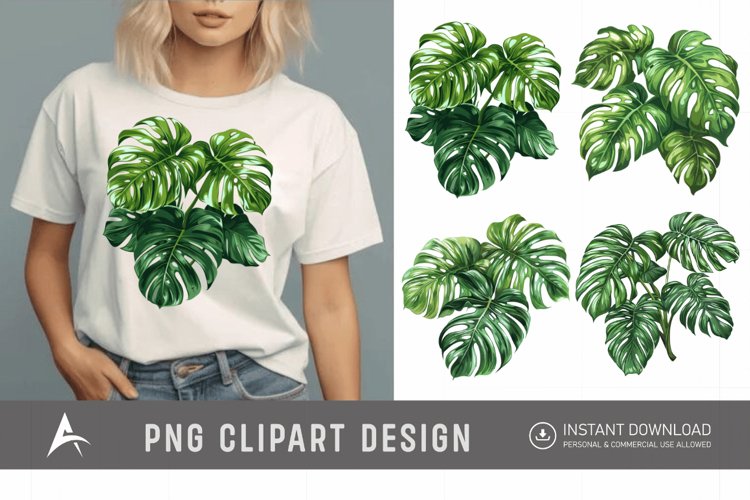 Monstera Illustration