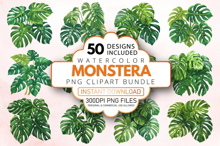 Monstera Illustration Image 17