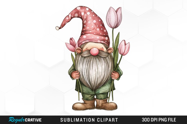 Gnome Png Image 2
