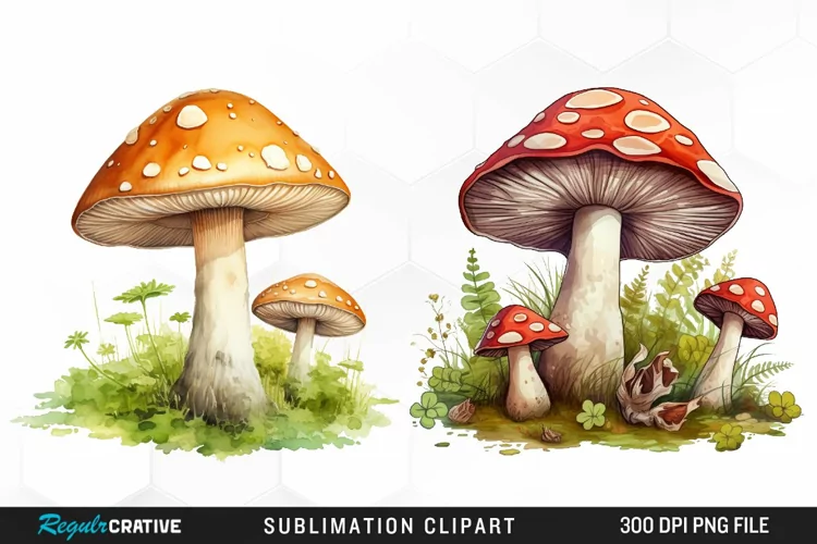 Watercolor Mushroom Clipart