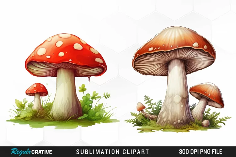Watercolor Mushroom Clipart