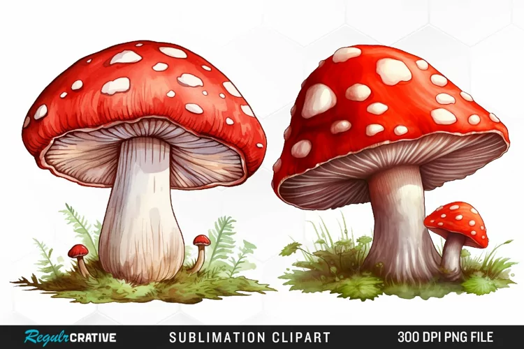 Watercolor Mushroom Clipart