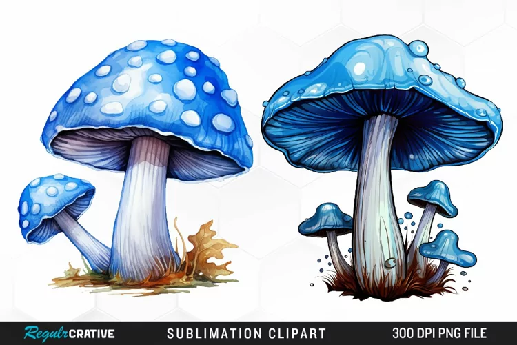 Watercolor Mushroom Clipart