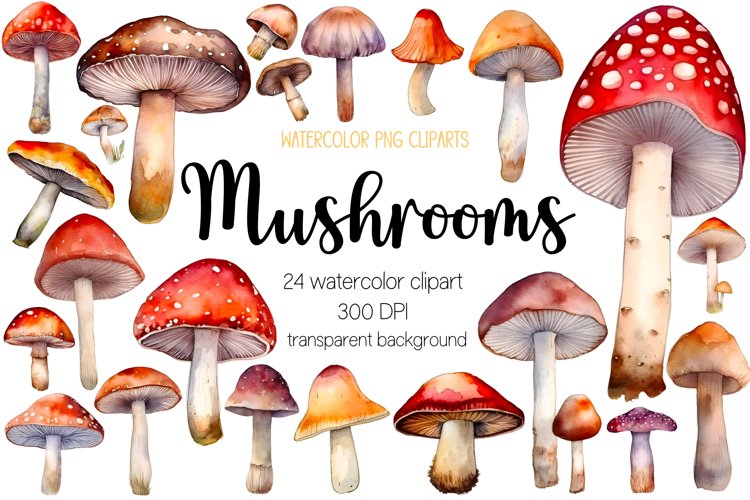 Mushroom Png Image 12