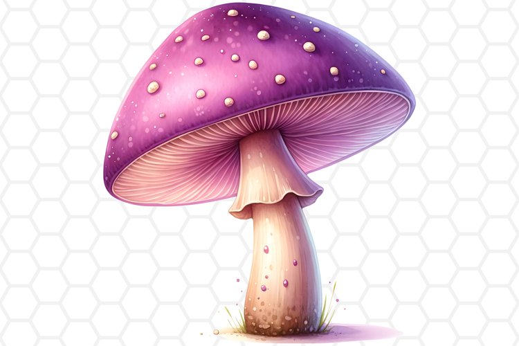 Watercolor Mushroom Clipart Sublimation PNG