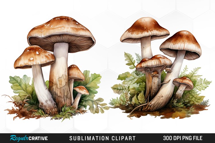Toad Clipart Image 4