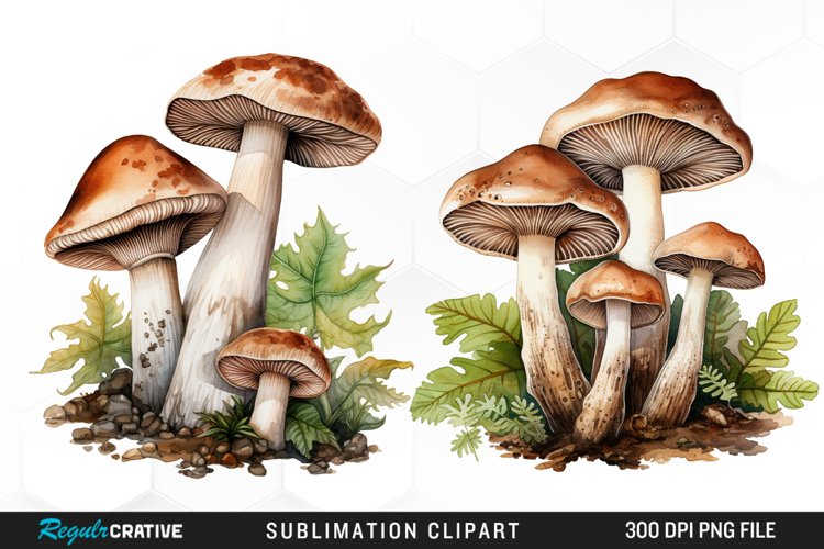 Watercolor Mushrooms Graphics Clipart example image 1