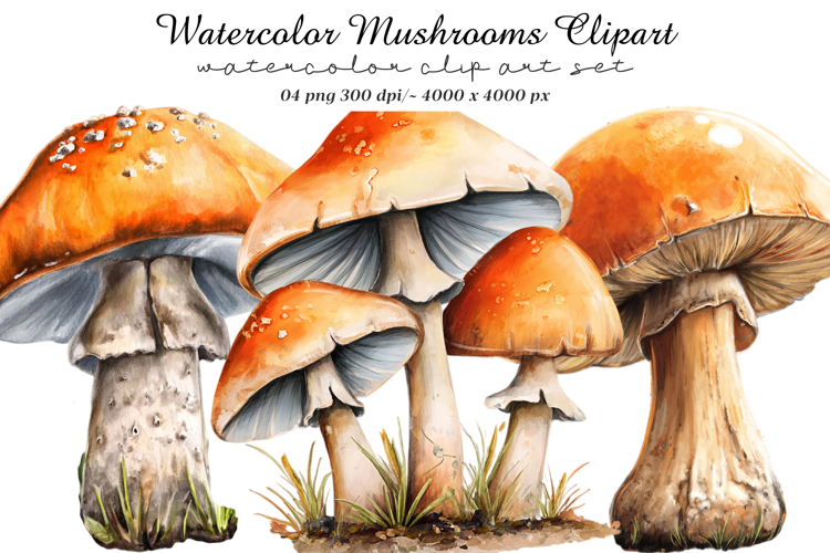Watercolor Mushrooms Clipart
