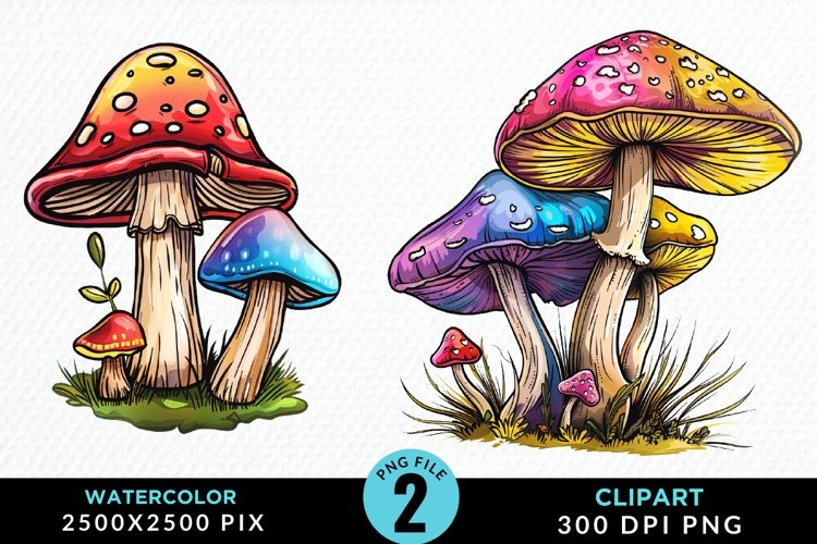 Mushrooms Png Image 5