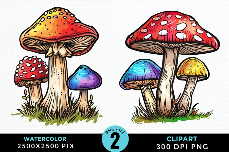 Mushrooms Png Image 17