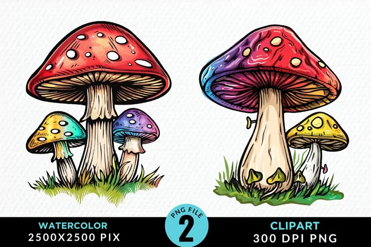 Watercolor Mushrooms Artwork Clipart