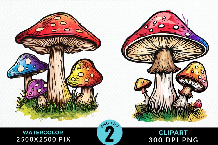Mushrooms Png Image 10