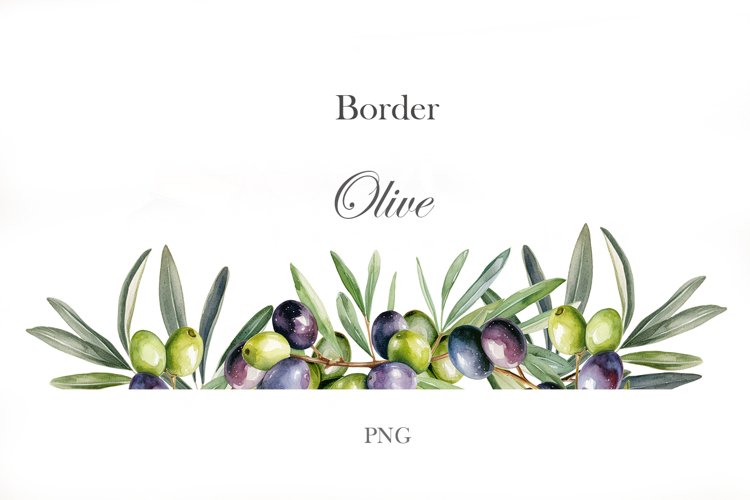 Watercolor Olive branches border PNG