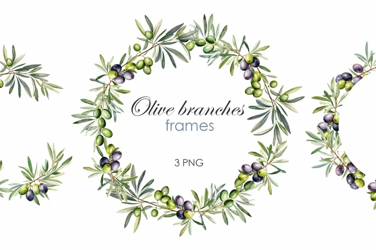 Watercolor Olive branches frames PNG