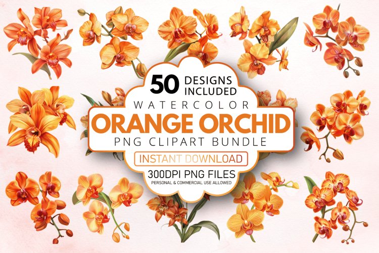 Orchid Illustration Image 18