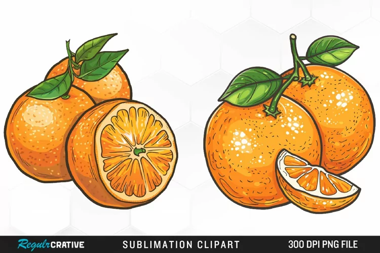 Watercolor Oranges Artwork Clipart